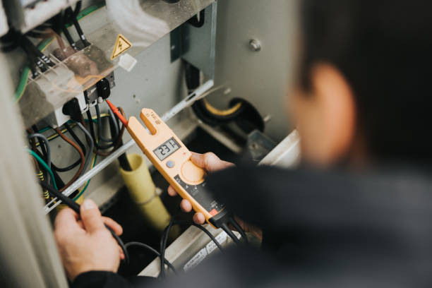 Best Electric Panel Repair  in Ome, GA